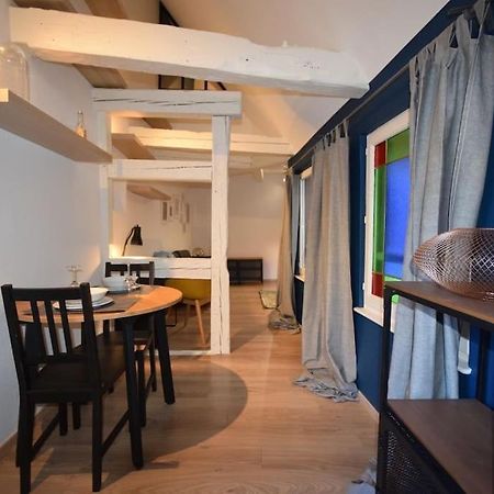 Le Studio Du Quai Des Pecheurs - Charmant Duplex Sur Les Quais Straßburg Exterior foto