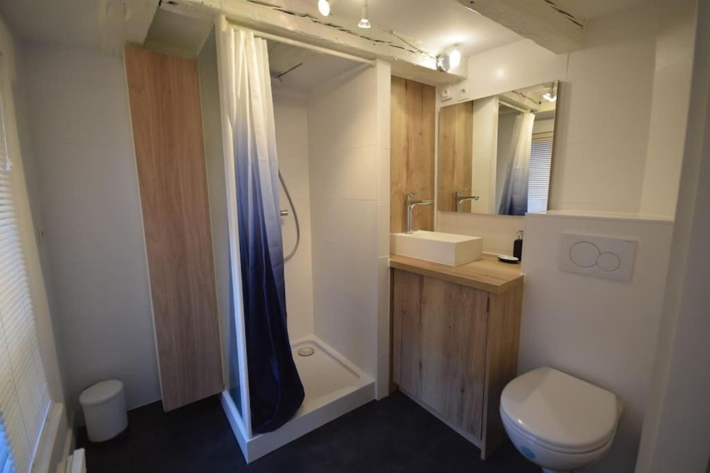 Le Studio Du Quai Des Pecheurs - Charmant Duplex Sur Les Quais Straßburg Exterior foto