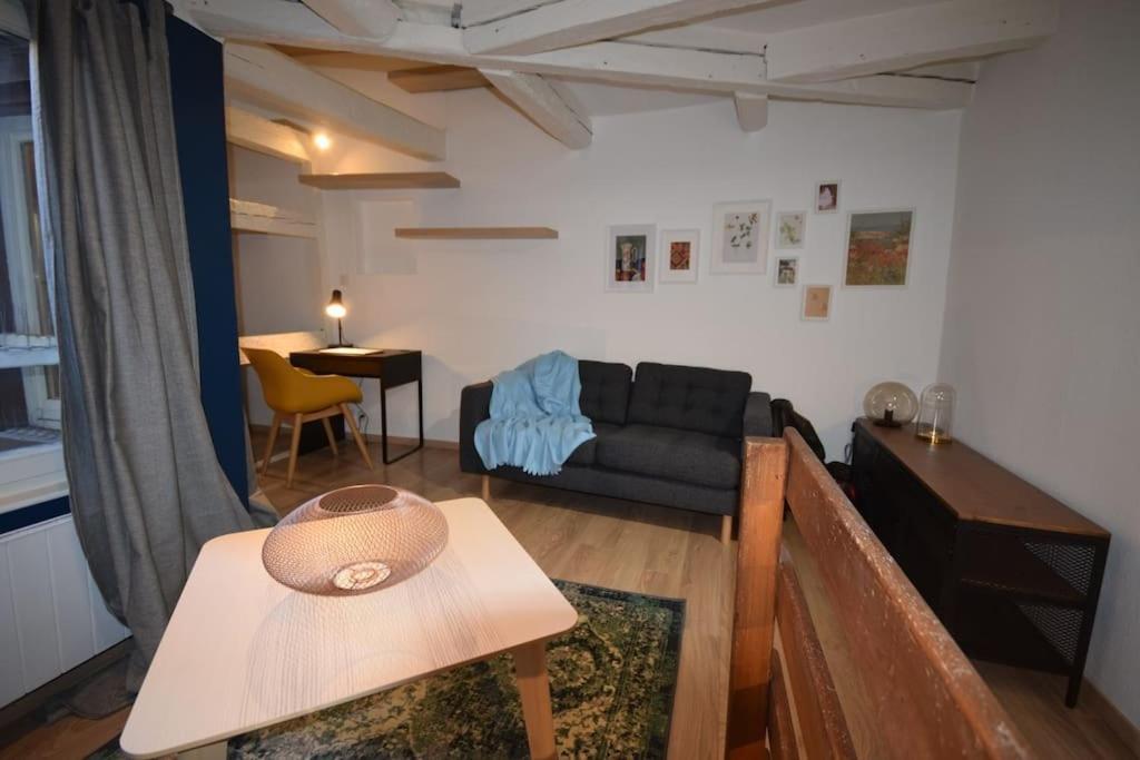Le Studio Du Quai Des Pecheurs - Charmant Duplex Sur Les Quais Straßburg Exterior foto