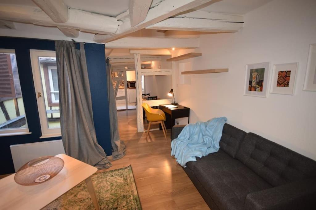 Le Studio Du Quai Des Pecheurs - Charmant Duplex Sur Les Quais Straßburg Exterior foto