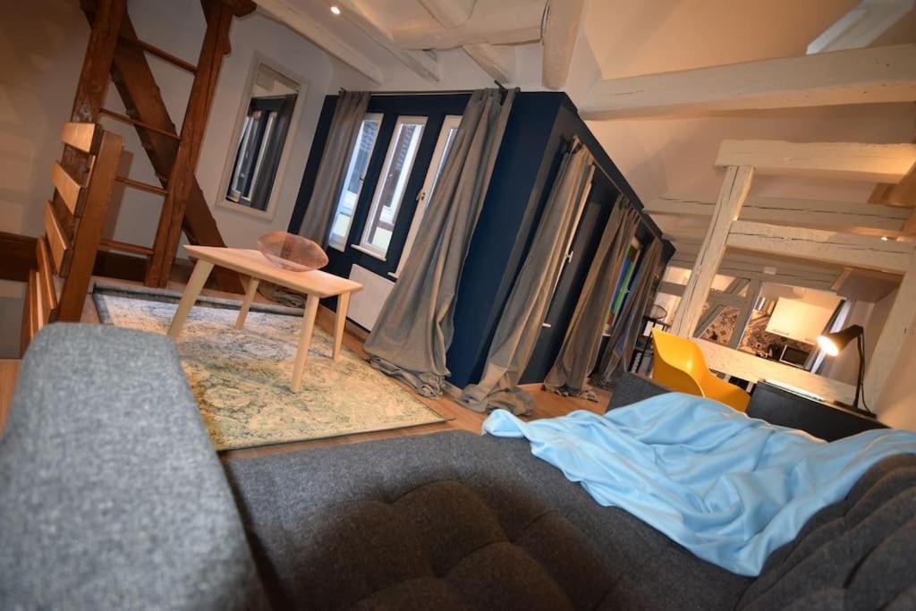 Le Studio Du Quai Des Pecheurs - Charmant Duplex Sur Les Quais Straßburg Exterior foto