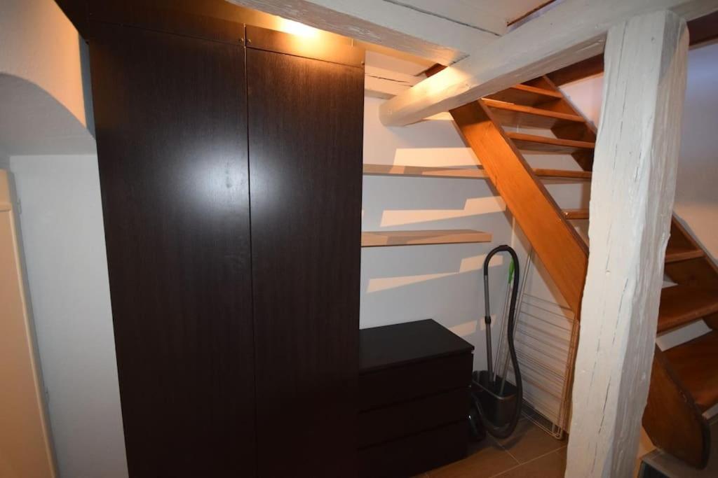 Le Studio Du Quai Des Pecheurs - Charmant Duplex Sur Les Quais Straßburg Exterior foto